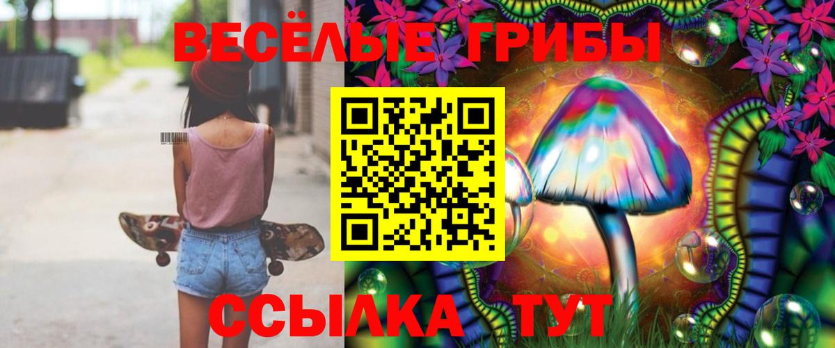 Псилоцибиновые грибы мицелий Славгород